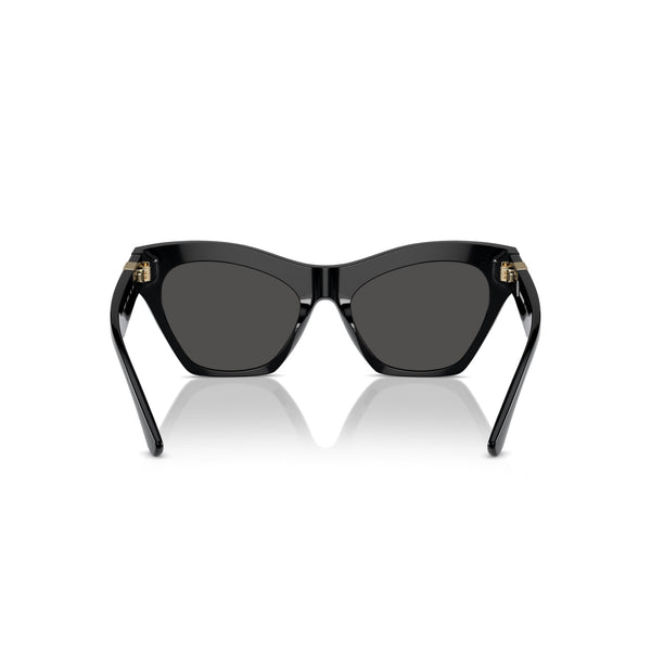 Burberry Sunglasses B4420 U3001/87