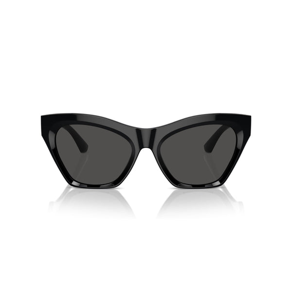 Burberry Sunglasses B4420 U3001/87