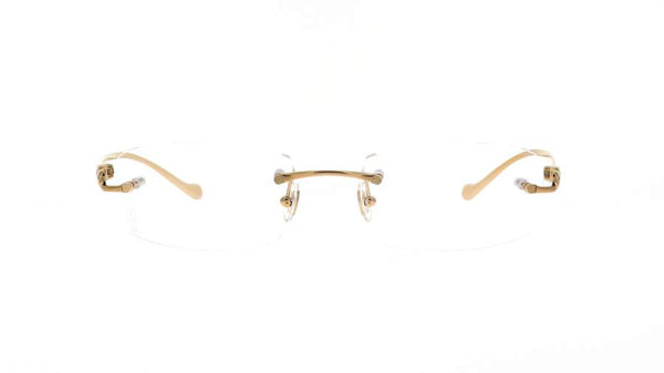 Cartier Eyeglasses-ct0061o-53