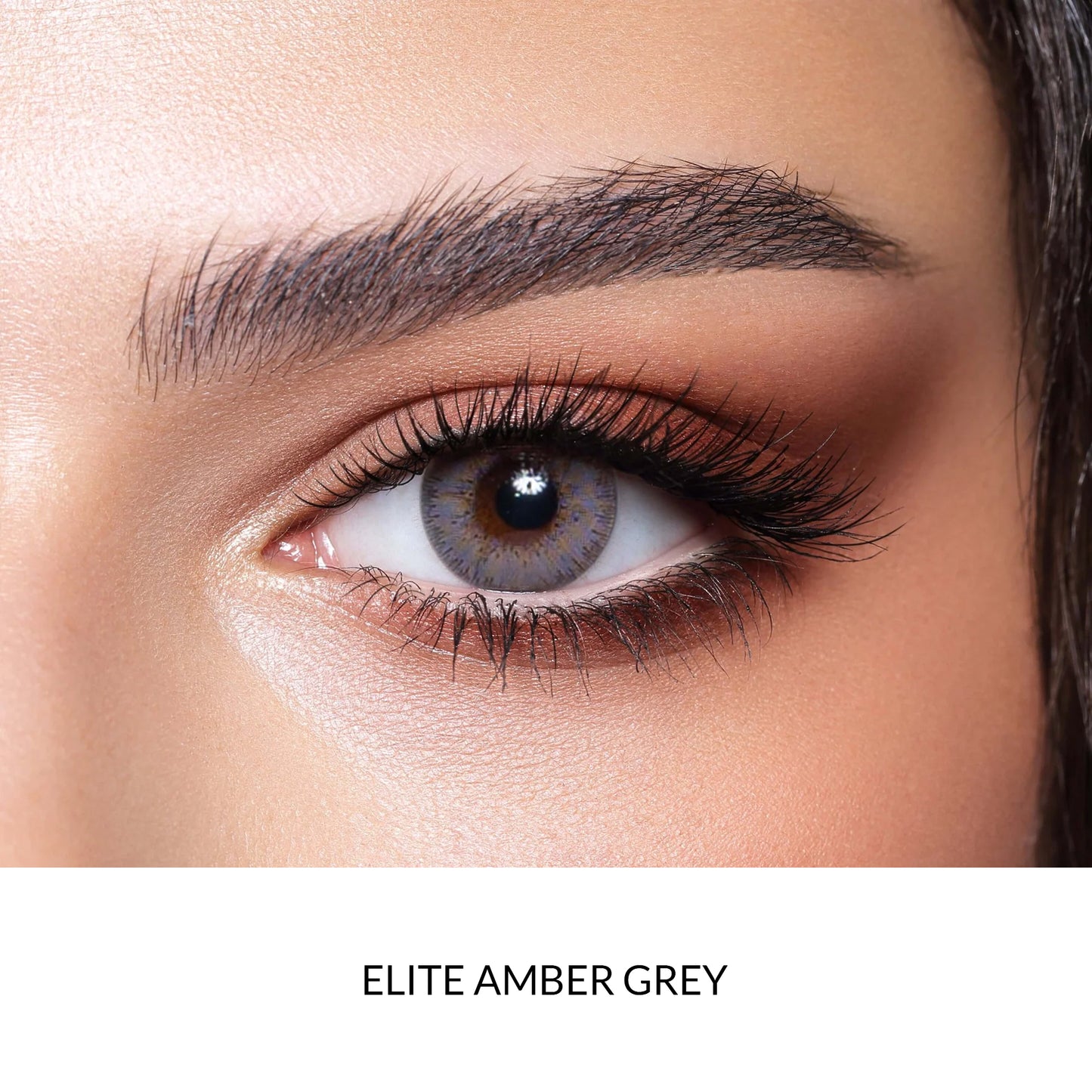 Bella Lenses Color Elite Amber Grey