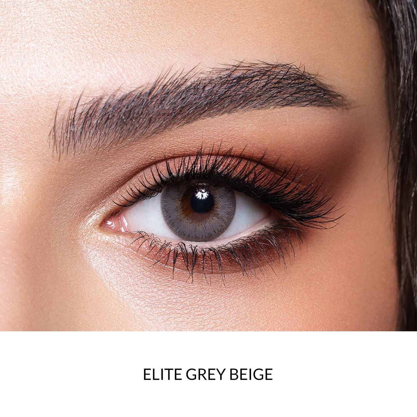 Bella Lenses Color Elite Grey Beige