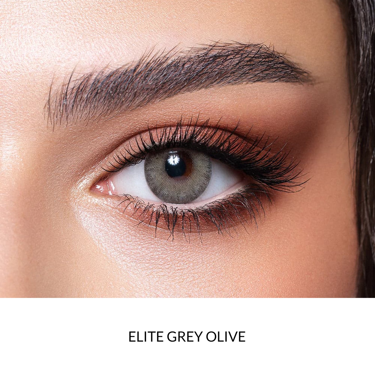 Bella Lenses Color Elite Grey Olive