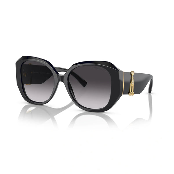 Tiffany™ Tf4207b 80013c 55 - Black