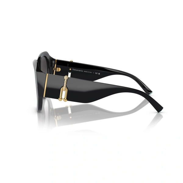 Tiffany™ Tf4207b 80013c 55 - Black