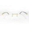 Cartier Eyeglasses-ct0216oa-57